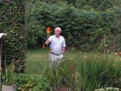 Red Hot Poker - what a whopper!! Gallery