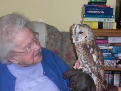 Gwen and a Tawny Owl Gallery