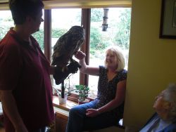 Pat and an Eagle Owl Gallery