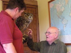 Brian and an Eagle Owl Gallery