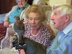 Mildred and Ron and a Kestrel Gallery