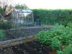 Looking forward to home produced veg again this year Gallery